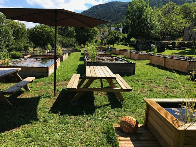 Titus, le Jardin des Nymphaeas