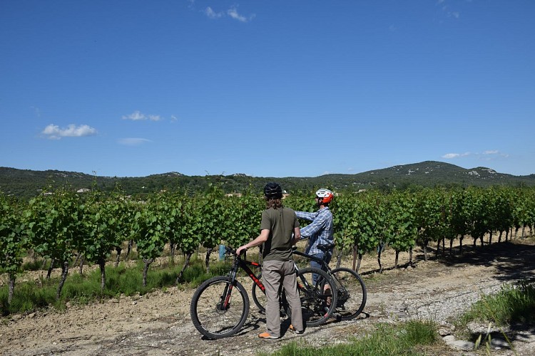 Reliefs et Nature - Location de vélos