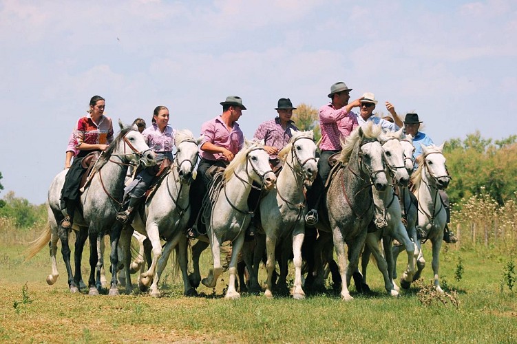 Boutique du Mas de la Comtesse