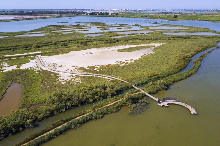 Entdeckungspfad von La Marette - Haus der Grand Site de France Camargue Gardoise