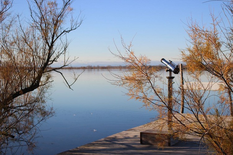 Marette discovery trail