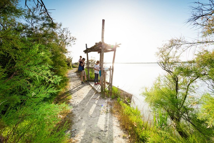 Marette discovery trail
