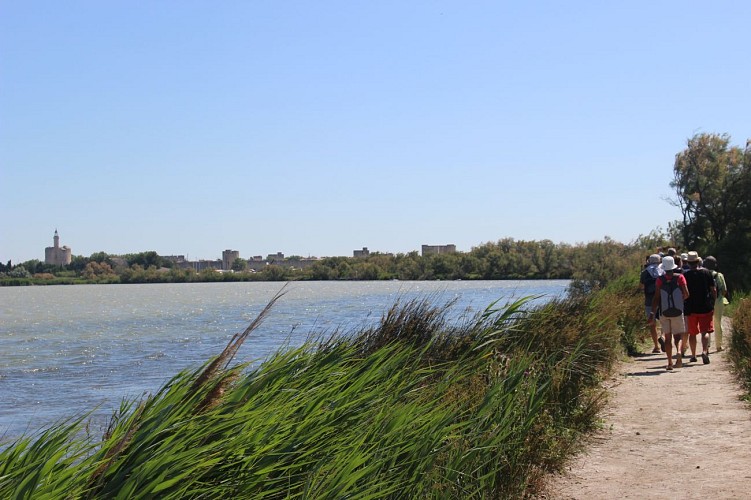 Sentier de découverte de la Marette - Maison du Grand Site de France Camargue Gardoise