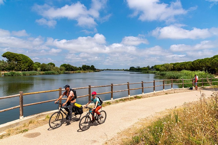 Voie verte ViaRhôna de Gallician au Grau du Roi