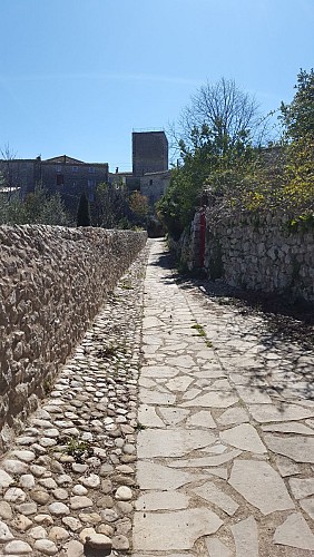 Jeux de vignes, je dis vin !