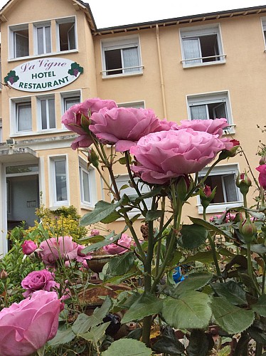Hôtel restaurant la Vigne