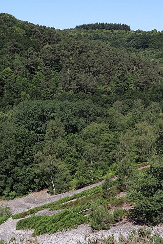 Vallée de Misère à Saint-Léonard-des-Bois