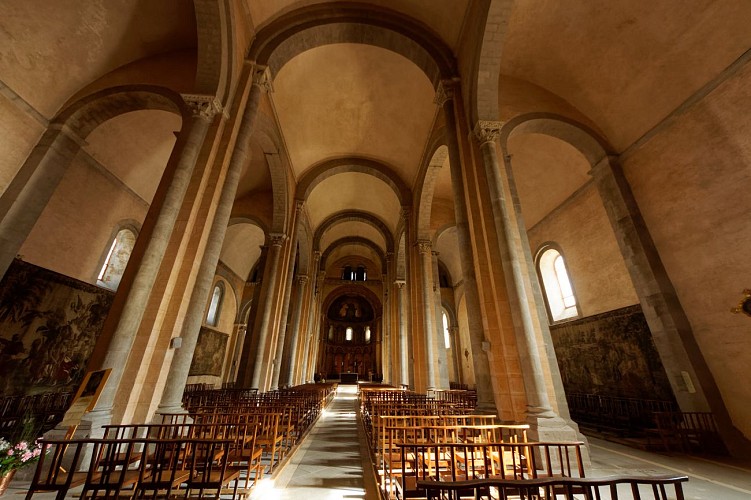 Collegiale restauree fev 2019 ©Ciné Photos club du comminges (12)