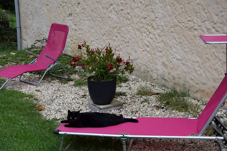 Peyramier-Nature-jardin (14)