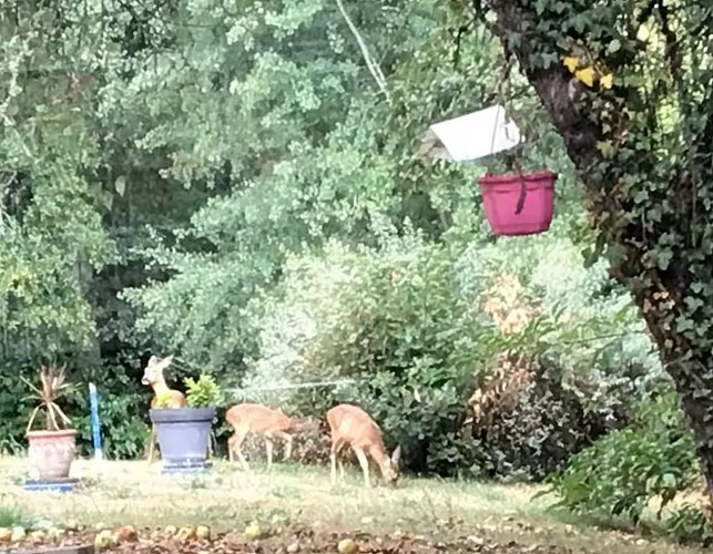 Peyramier-Nature-R (2)