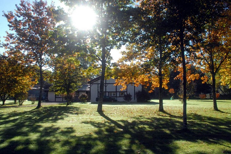 parc 1 couleur d'automne