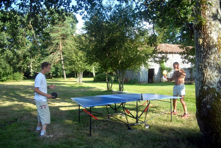 32-ping pong 1 (2)
