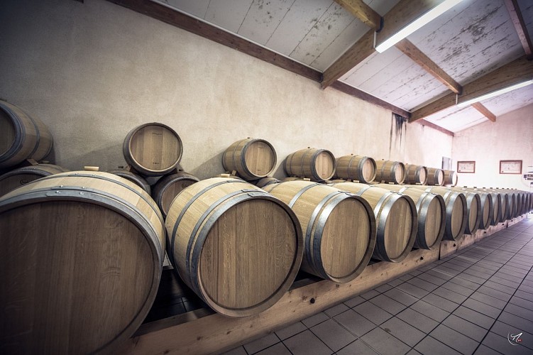 20180919_MIKA-BOUDOT_4689