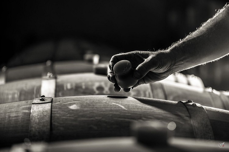 20180919_MIKA-BOUDOT_4683