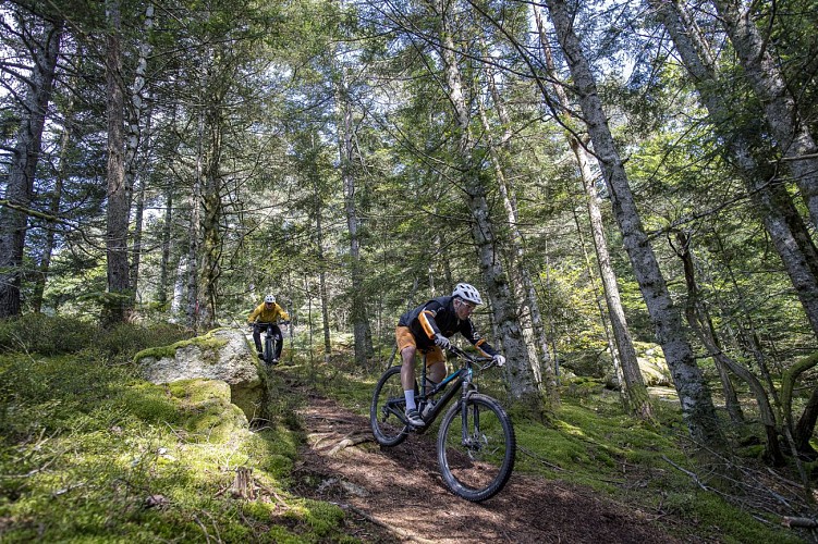 Espace VTT-FFC du Massif des Bois Noirs