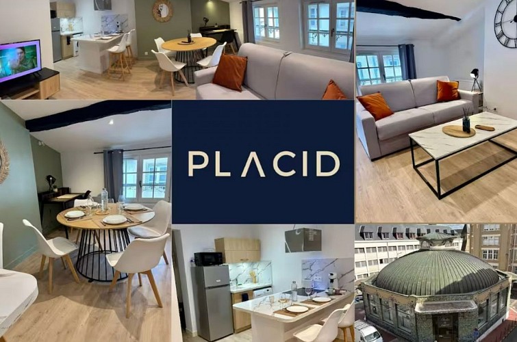 Capture d’écran 2025-11-13 112430