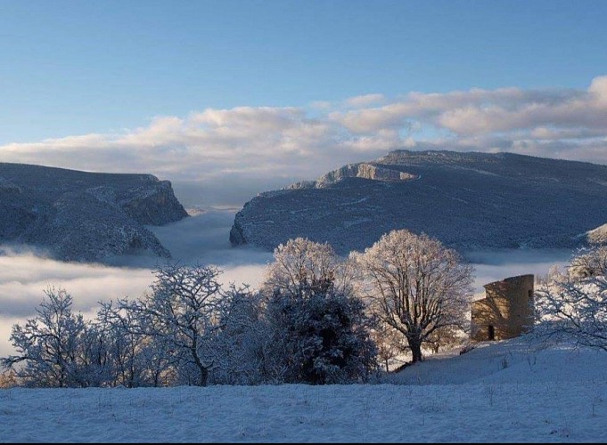 Pigeonnier sous la neige