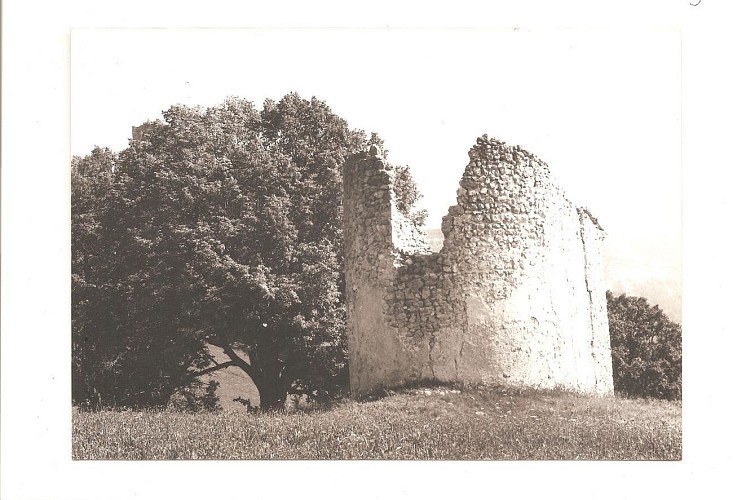 Le pigeonnier avant travaux 