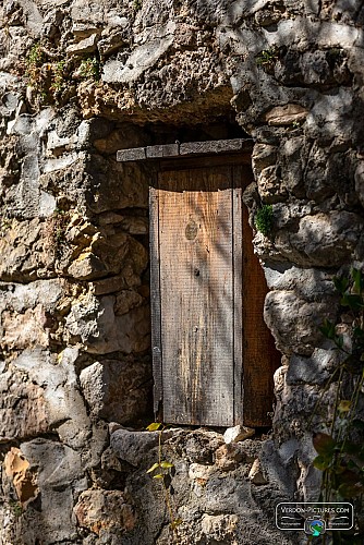 Détail une ruche