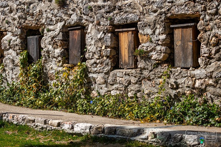Ruches dans le mur