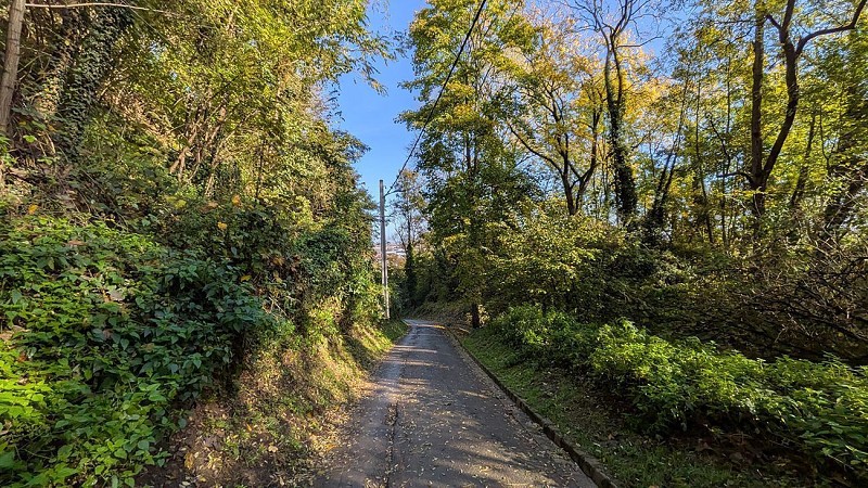 Grimpette de la Valise I