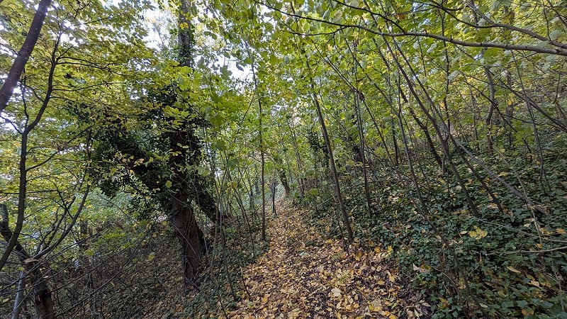 POI Sente du glacis de la citadelle III