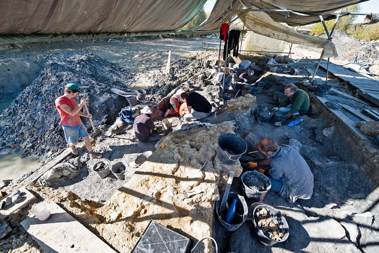 Angeac-Charente paleontological site