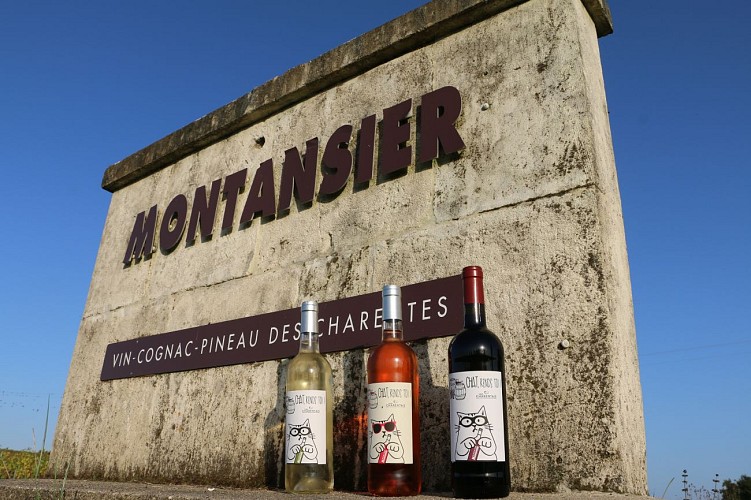 Domaine Montansier