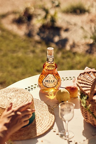 Visit to the winery and distillery | Maison Brillet