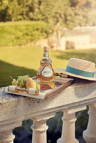 Visit to the winery and distillery | Maison Brillet