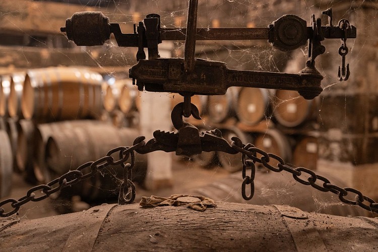 Visita a la bodega y destilería | Maison Brillet