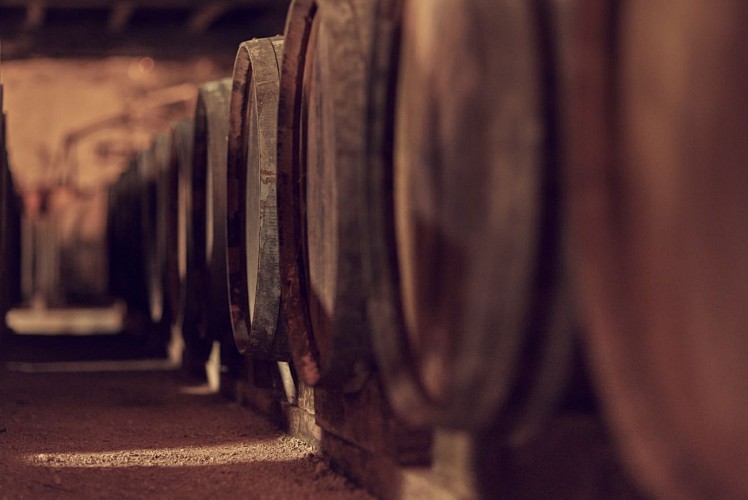 Visita a la bodega y destilería | Maison Brillet