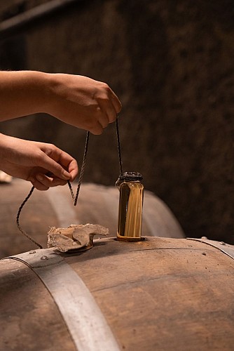 Visite du chai et de la distillerie | Maison Brillet