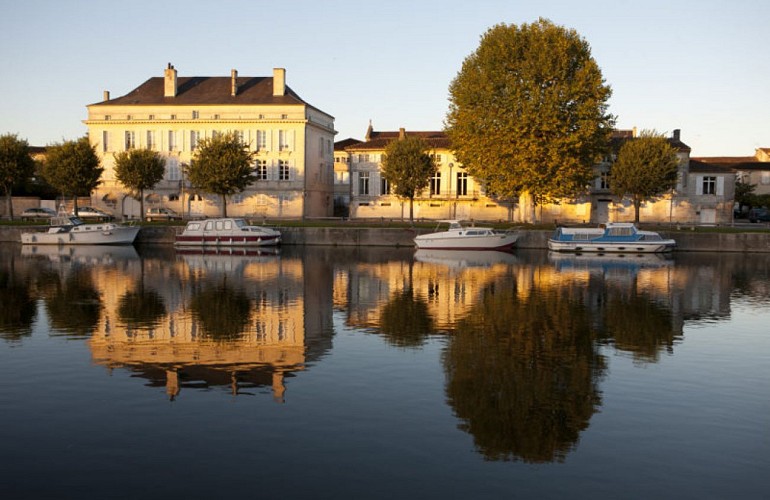 Cognac Thomas Hine & C°