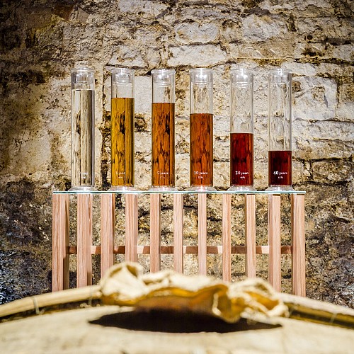 Cognac Thomas Hine & C°