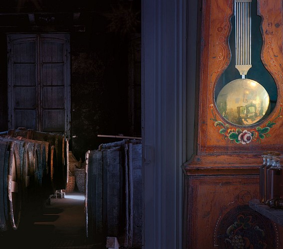 Delamain Visit Offers