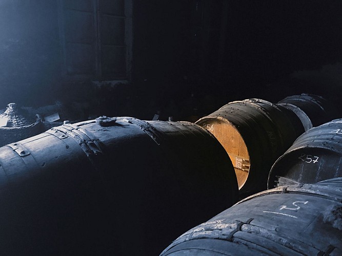 Visite Delamain Cognac