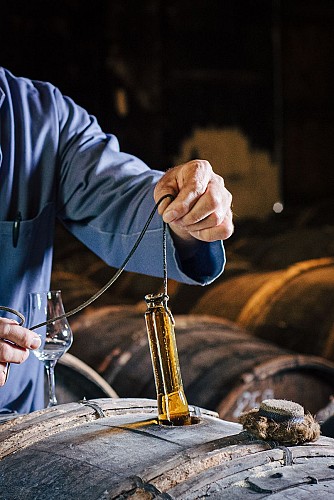 Visite Delamain Cognac