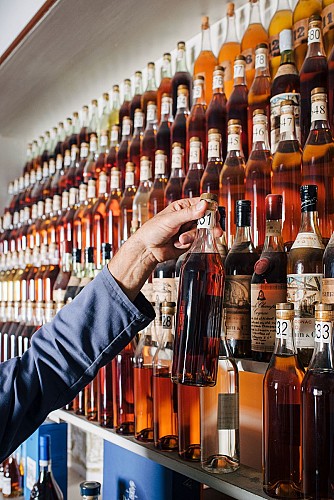 Visite Delamain Cognac