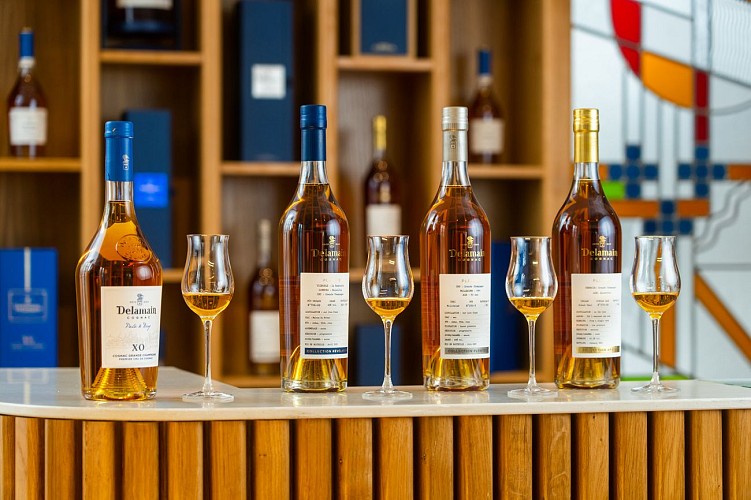Visite Delamain Cognac