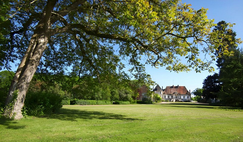 Parc Chateau de Nyon