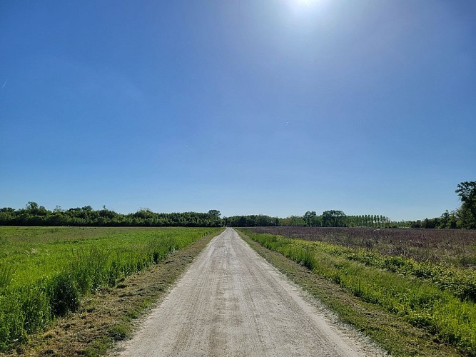 Circuit de l'observatoire aux oiseaux