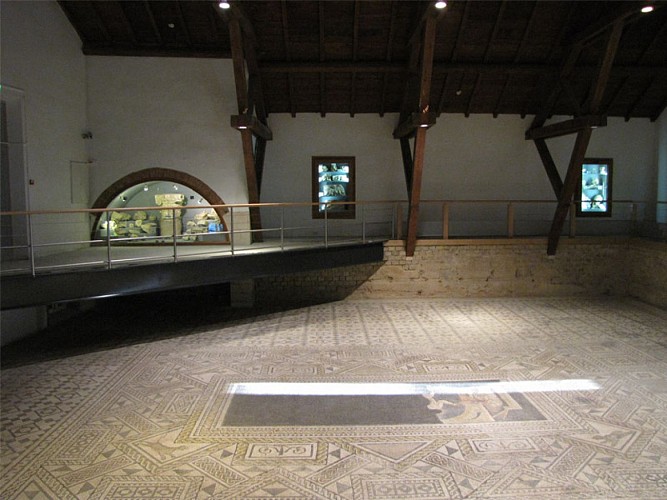 An exceptional mosaic