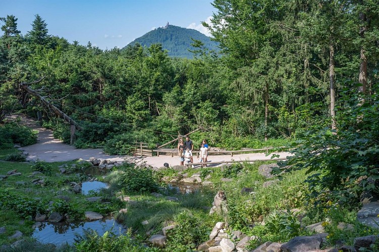 La Montagne des Singes