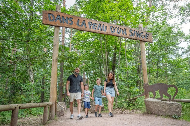 La Montagne des Singes