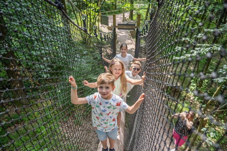 La Montagne des Singes