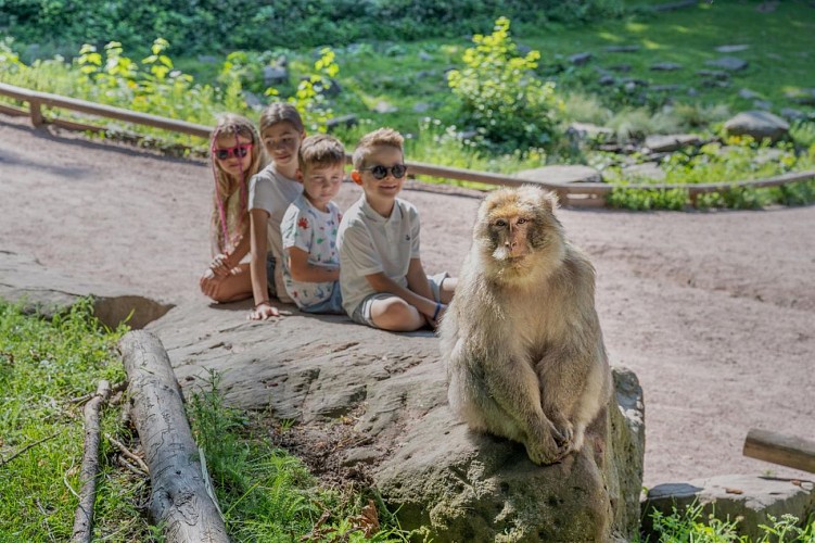 La Montagne des Singes