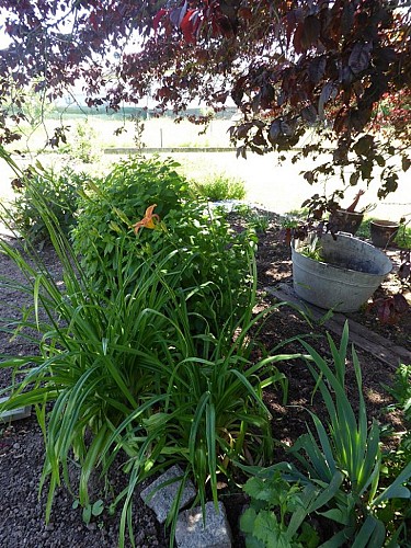 Gîte La Cigogne en Voyage