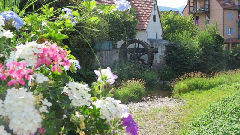 Roue à Aube et Doller