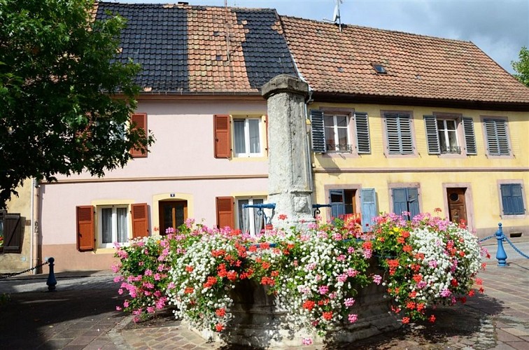 Fontaine place des Commandos